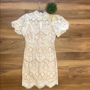 A. Calin by flying tomato dress!